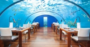 Conrad-Maldives-Underwater-Restaurant